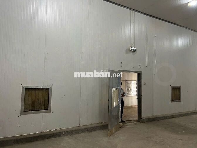 Kho lạnh - cấp đông công suất 300 và 600 tấn, trong KCN Trà Nóc