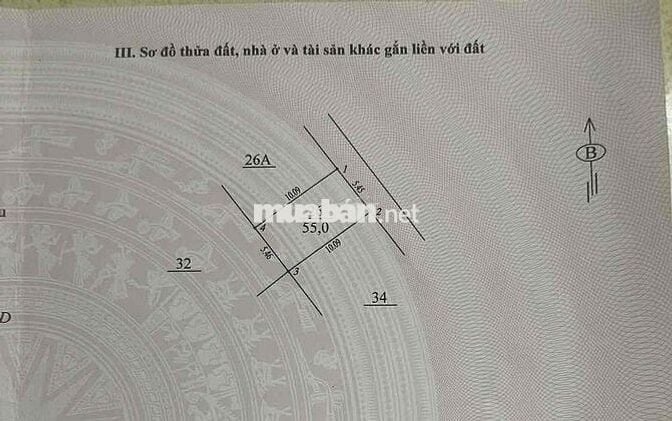 Bán Nhà Tô Hiệu Hà Đông S55m 3T Mt5.5m Giá 11.8 tỷ