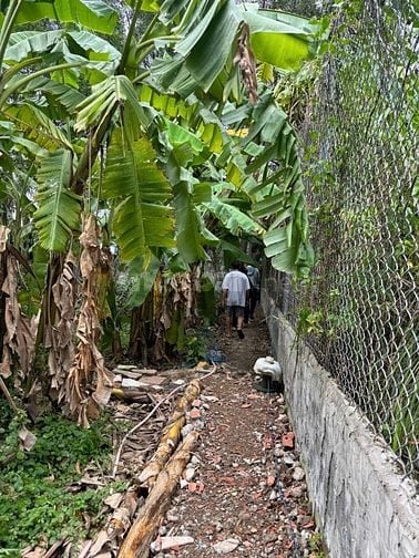 Bán Đất Bình Quới ( Bình Thạnh cũ )