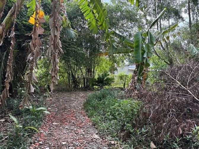 Bán Đất Bình Quới ( Bình Thạnh cũ )