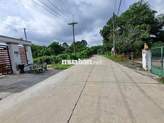 💥 KẸT VỐN – BÁN GẤP LÔ ĐẤT ĐẸP NGUYỄN VĂN KHẠ, CỦ CHI 💥 GIÁ 620 TRIỆU