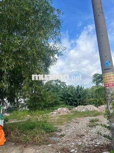 Đất mặt tiền gần chợ, trường học, KCN, giao thông thuận lợi
