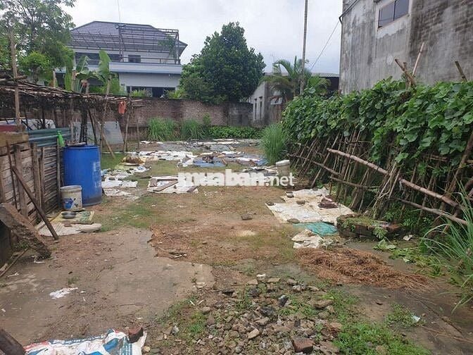 Bán đất Lương Sơn, sổ hồng, chính chủ