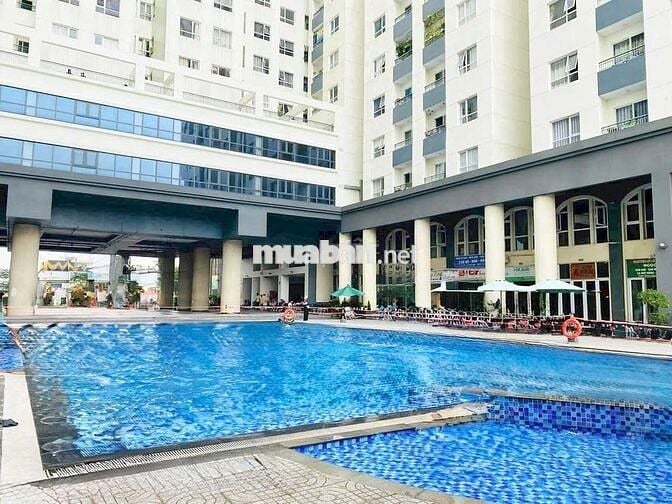 Cho thuê 2pn & 3pn đa dạng diện tích giá tốt