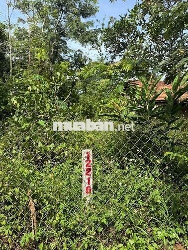 MẶT TIỀN NHỰA CHÍNH TẠI CƯ EWI- CƯ KUIN- DAKLAK