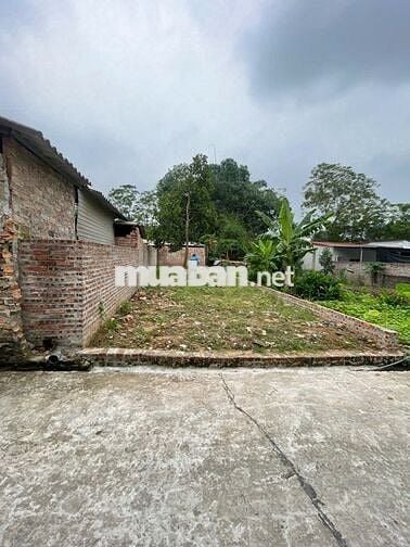 🔥 ĐẤT ĐẸP – VỊ TRÍ VÀNG GIỮA LÒNG HƯỚNG ĐẠO – TAM DƯƠNG 🔥  🏡 Lô đất c