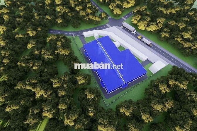 Cho thuê xưởng 1950m2 tại Tân Hiệp Tân Uyên Bình Dương