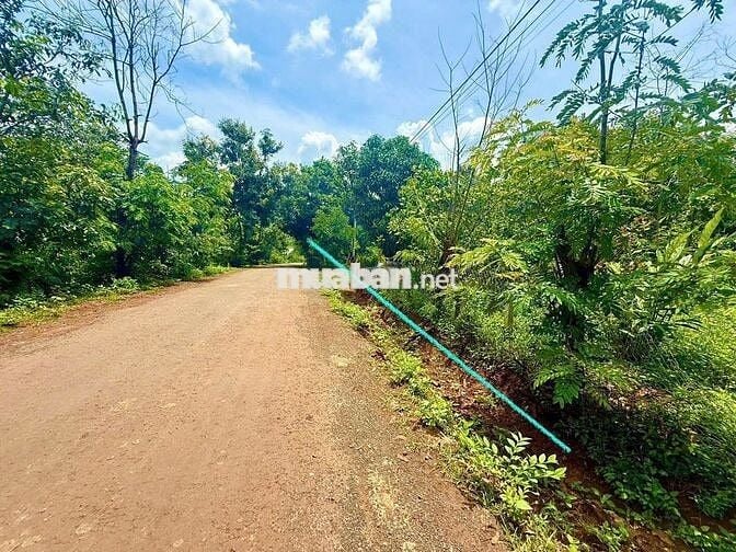 MẶT TIỀN NHỰA CHÍNH TẠI CƯ EWI- CƯ KUIN- DAKLAK