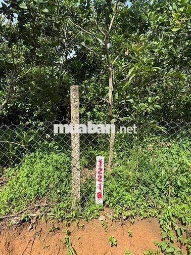 MẶT TIỀN NHỰA CHÍNH TẠI CƯ EWI- CƯ KUIN- DAKLAK