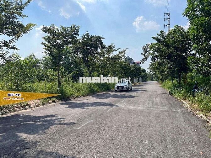 Bán đất nền thổ cư tại Tam Dương, Vĩnh Phúc
