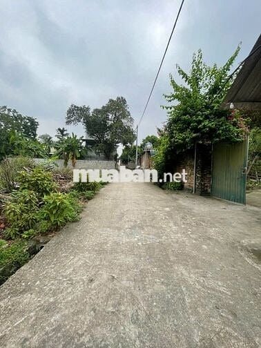 🔥 ĐẤT ĐẸP – VỊ TRÍ VÀNG GIỮA LÒNG HƯỚNG ĐẠO – TAM DƯƠNG 🔥  🏡 Lô đất c