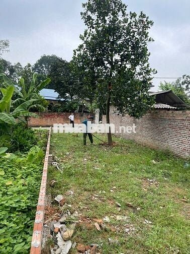 🔥 ĐẤT ĐẸP – VỊ TRÍ VÀNG GIỮA LÒNG HƯỚNG ĐẠO – TAM DƯƠNG 🔥  🏡 Lô đất c