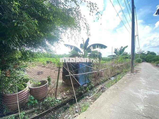 Lô đất diện tích hơn 1000m², mặt tiền rộng, ô tô ra vào thoải mái.