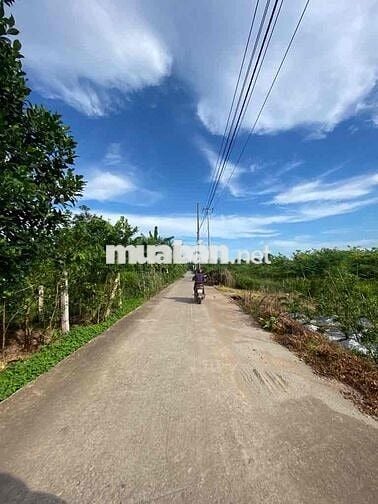 Lô đất diện tích hơn 1000m², mặt tiền rộng, ô tô ra vào thoải mái.