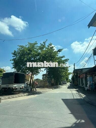 Bán gấp đất Liên Ninh ,ô tô đỗ cổng ,thông số vàng giá đầu tư 4,5 tỷ