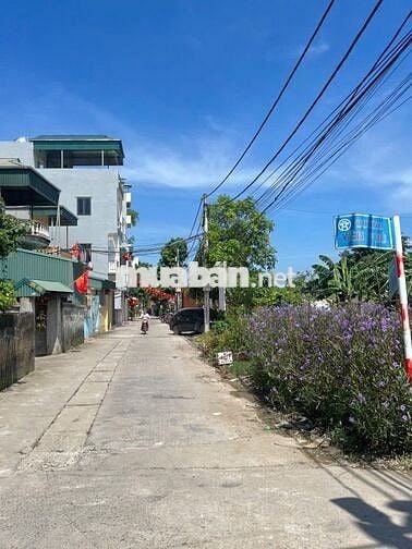 Bán gấp đất Liên Ninh ,ô tô đỗ cổng ,thông số vàng giá đầu tư 4,5 tỷ