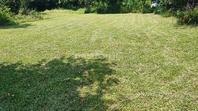 Đất HN view hồ giá chỉ vài triệu 1 mét vuông, 40 phút lái xe
