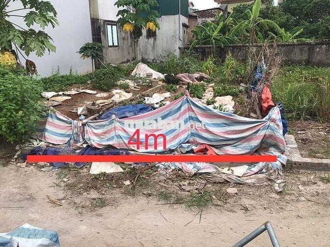 Bán gấp đất Đông Mỹ ô tô 7 chỗ vào đất ,phân lô ,giá đầu tư 4,5 tỷ