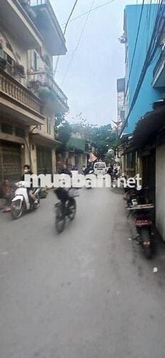 Bán gấp đất Đông Mỹ ô tô 7 chỗ vào đất ,phân lô ,giá đầu tư 4,5 tỷ
