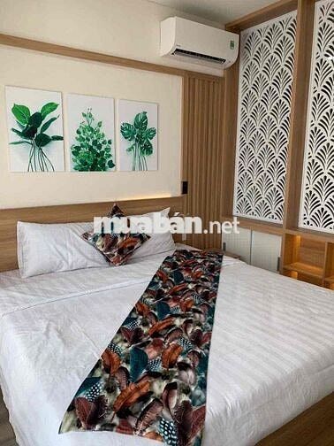 Cần cho thuê ngay căn hộ 1PN The Monarchy, Full nội thất view sông Hàn