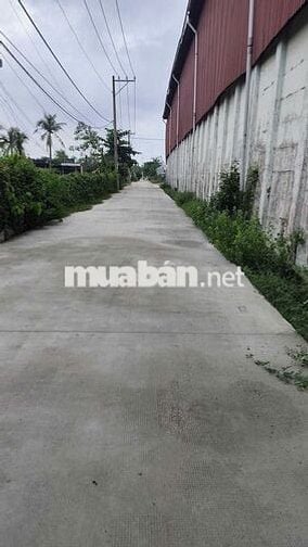 MẶT BẰNG KINH DOANH 260m2 ĐƯỜNG HUỲNH BÁ CHÁNH, XÃ TÂN NHỰT