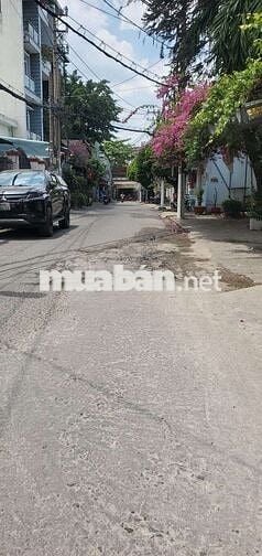 Tân Bình, Phạm Văn Bạch, 78m2, hẻm xe hơi, nhỉnh 6T