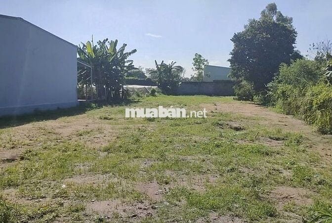 ĐẤT MT ĐẸP – NGÂN HÀNG THẨM ĐỊNH CAO–VỊ TRÍ TIỀM NĂNG CỦ CHI chỉ 13tỷ5