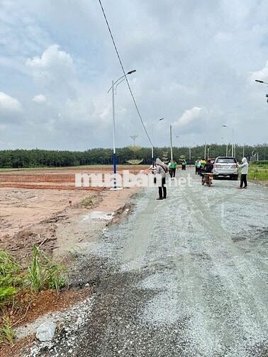 Đất sổ sẵn giá rẻ 390tr, ngay chợ Nha Bích Chơn Thành