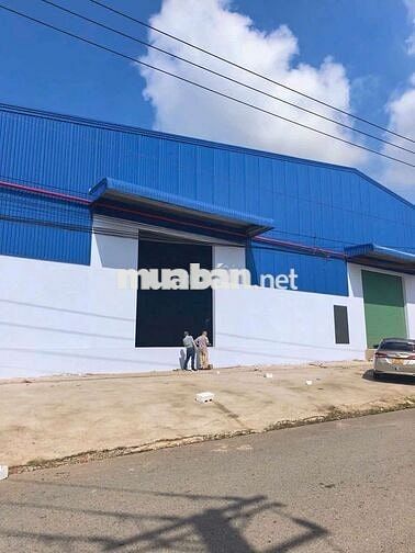 Cho thuê xưởng 2600m2 tại Vĩnh Tân Tân Uyên Bình Dương