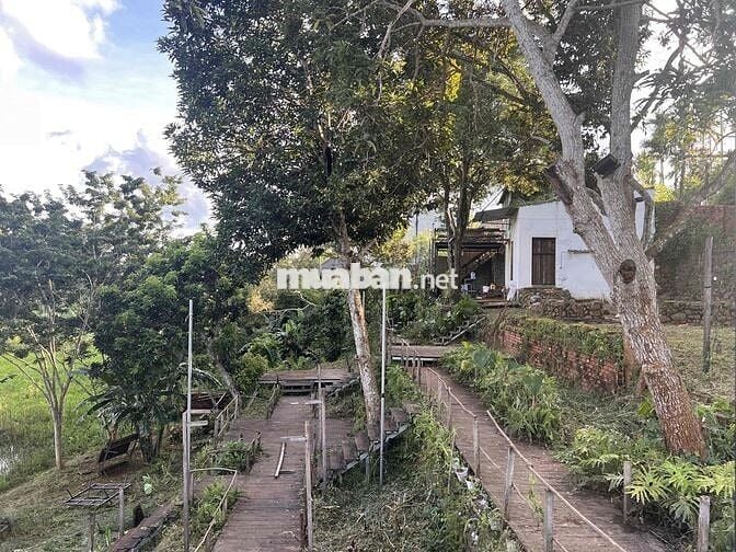 Cho thuê nhà cấp 4  nguyên căn view ruộng, đẹp, mát