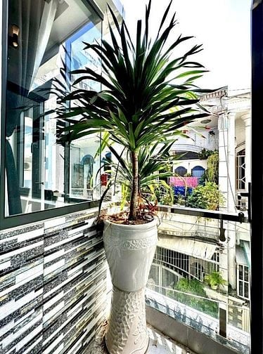 Nhà 4 x 11,5 đúc 1 trệt 2 lầu hẻm 4m đường Phạm Văn chiêu p8 gò vấp 