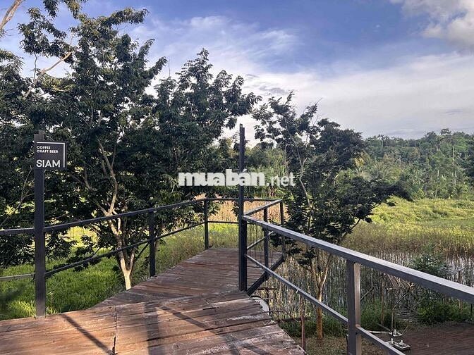 Cho thuê nhà cấp 4  nguyên căn view ruộng, đẹp, mát