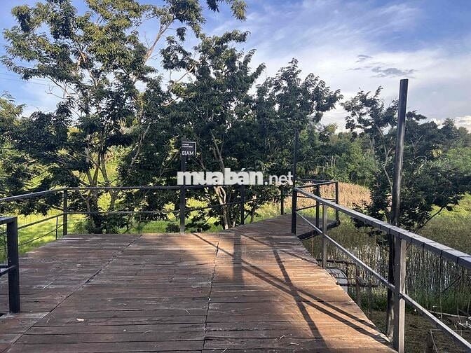 Cho thuê nhà cấp 4  nguyên căn view ruộng, đẹp, mát