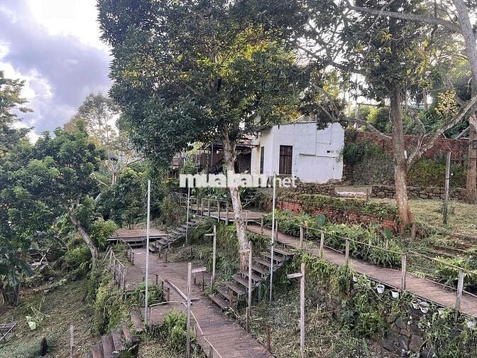 Cho thuê nhà cấp 4  nguyên căn view ruộng, đẹp, mát