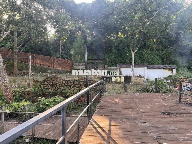 Cho thuê nhà cấp 4  nguyên căn view ruộng, đẹp, mát