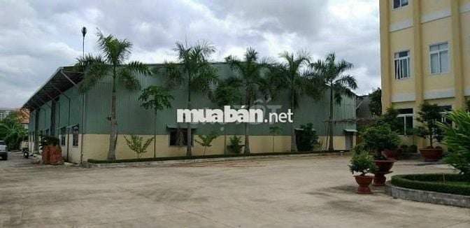 Cho Thuê Xưởng 16.000m2 Kcn Sóng Thần 3