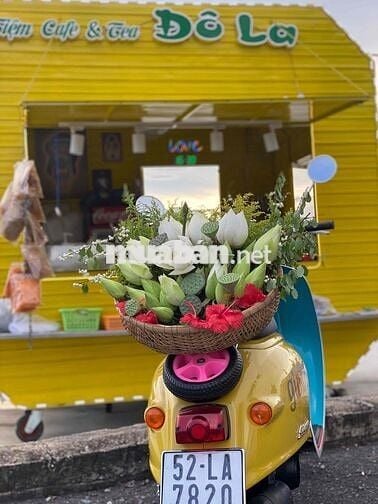 mình cần bán xe giorno của vợ ai cần ib ạ