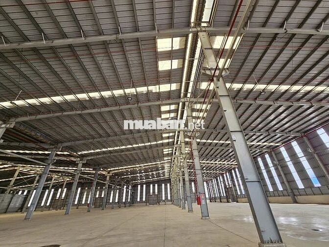 Cho thuê kho xưởng ,DT: 15.600m²,CCN Kiến Thành,Long An, PCCC tự động