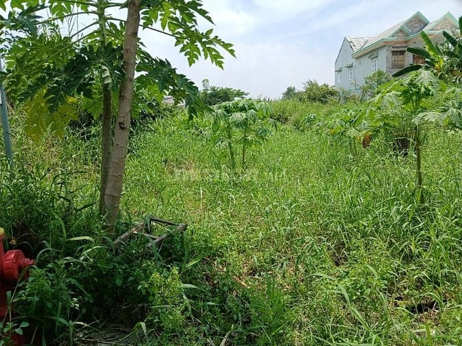 BÁN ĐẤT MẶT TIỀN ĐƯỜNG ĐÀO SƯ TÍCH PHƯỚC LỘC NHÀ BÈ TPHCM 