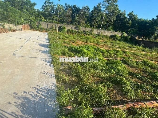 Bán Đất nền ở Khu Phố Thống Nhất Thị trấn Thanh Sơn, Thanh Sơn Phú Thọ