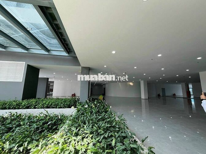 Cần bán gấp căn 1phòng ngủ - 1tỷ 180tr - chung cư Legacy Central