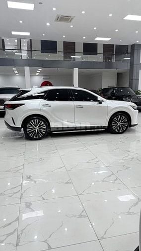 Bán lexus RX350 Premium Sản xuất 2024.