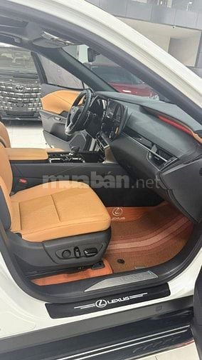 Bán lexus RX350 Premium Sản xuất 2024.