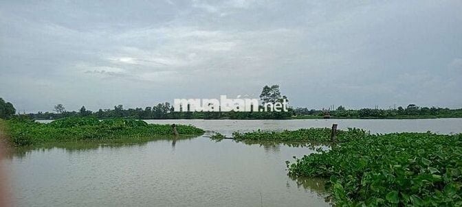 Cho thuê xưởng 2600m2 tại Tân Uyên Bình Dương