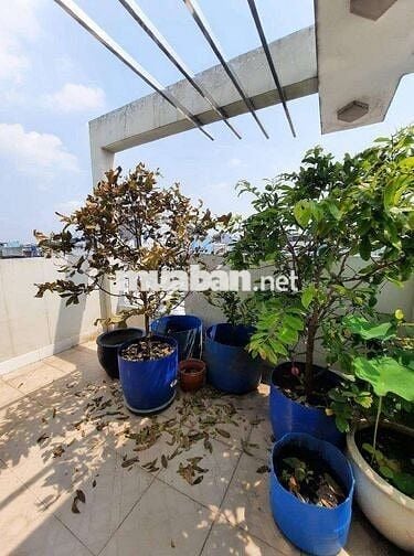 ÔTÔ TỚI NHÀ PHAN ANH P.BTĐ 4TẦNG 4PN GIÁ 5,3TỶ TL