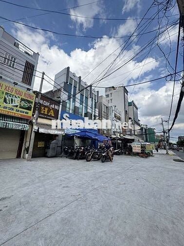 Nguyên căn CMT8🌾1T2L🌾5x20m🌾KD tự do