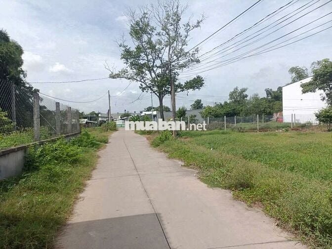Đất thổ, đường bê tông, Mỹ hạnh nam, 125m giá ngộp