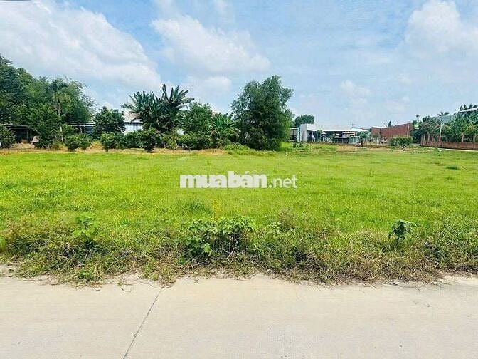 Đất thổ, đường bê tông, Mỹ hạnh nam, 125m giá ngộp