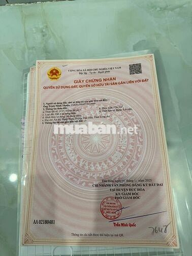 Đất thổ, đường bê tông, Mỹ hạnh nam, 125m giá ngộp