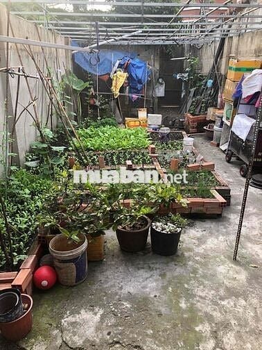 cho thuê nhà mặt tiền vừa ở vừa kinh doanh